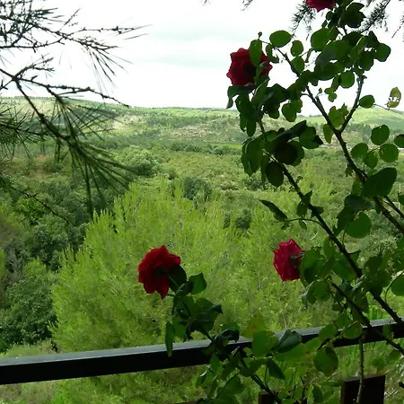 Alloggio per agriturismo Fara Del Falco Vieste